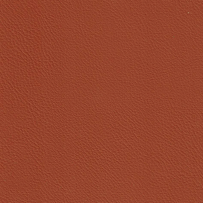 Bancroft Solar Pro Curtain Lining